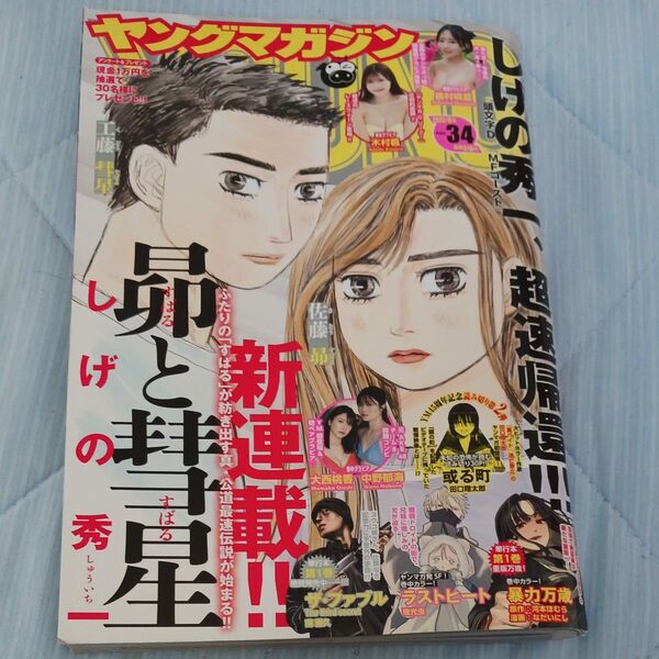 ヤングマガジン 2025年8月4日号 (講談社)
