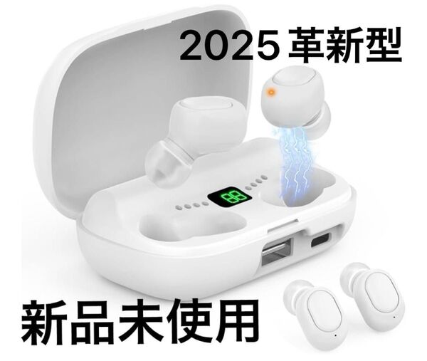 集音器 高齢者 しゅうおんき【2025年革新型・4段階音量調整・簡単操作 】 最大20-30時間連続使用 耳穴型