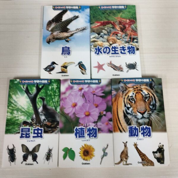 新 ポケット版 学研の図鑑 5冊セット 昆虫 鳥 水の生き物 植物 動物