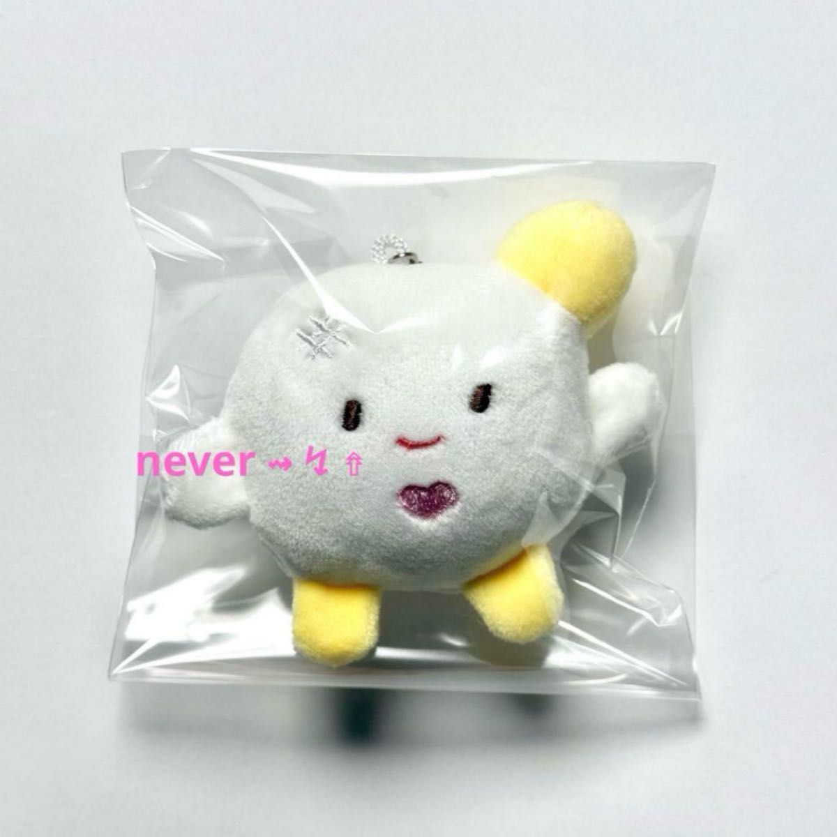 【公式】aespa ウィンター ペンライト シュシュ ぬいぐるみ 韓流ショップ購入品】エスパ ウィンター ぬいぐるみ キーリング