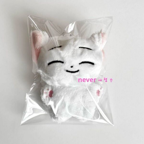 ENHYPEN エナイプン ソヌ 10cm ぬいぐるみ ピンク