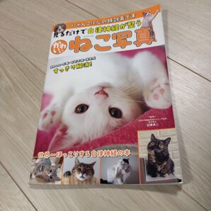 見るだけで自律神経が整うかわいいねこ写真 にゃんこは心の特効薬です (GW MOOK 862) 白澤卓二/監修