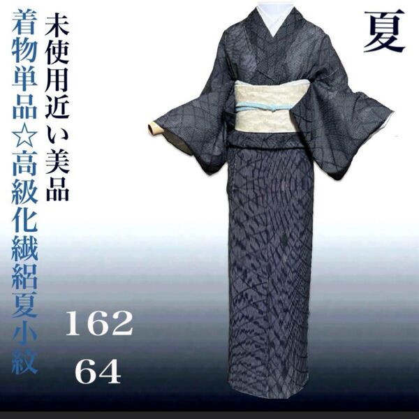 【未使用近い・美品】洗える絽小紋 着物単品 黒 縞模様 シルクタッチ 裄64