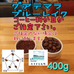 コーヒー粉or豆400g ブルーレイク