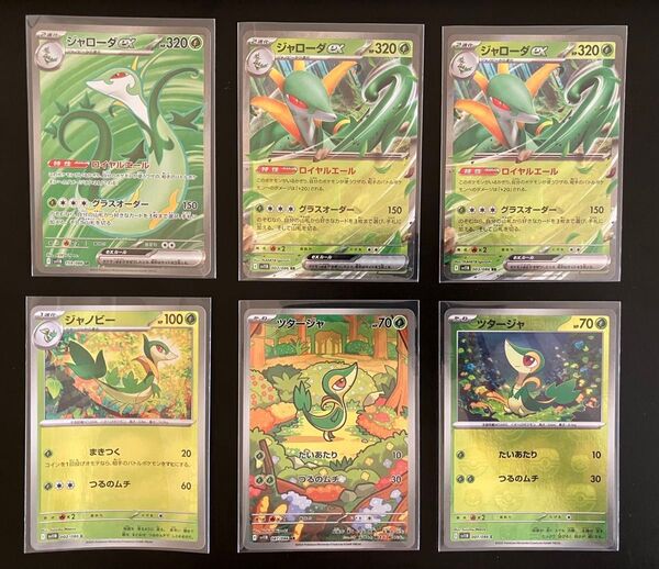 【即発送】ポケモンカード ブラックボルト収録 ジャローダex ハイレア SR ツタージャ AR マスボ 進化ラインセット