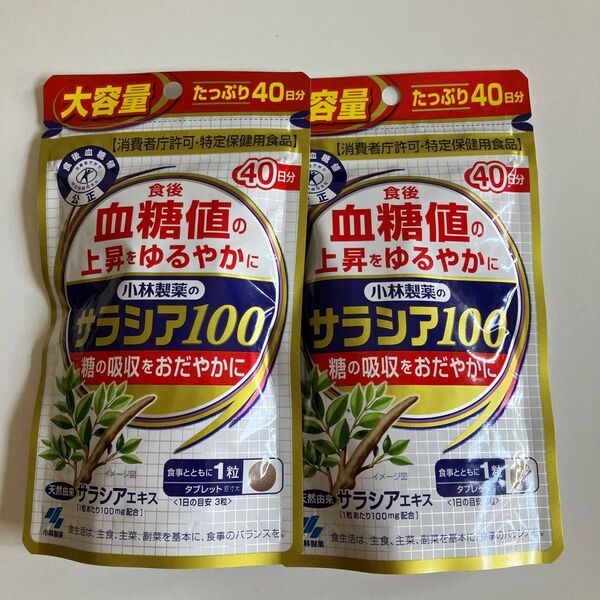 小林製薬 サラシア100 40日分 2袋