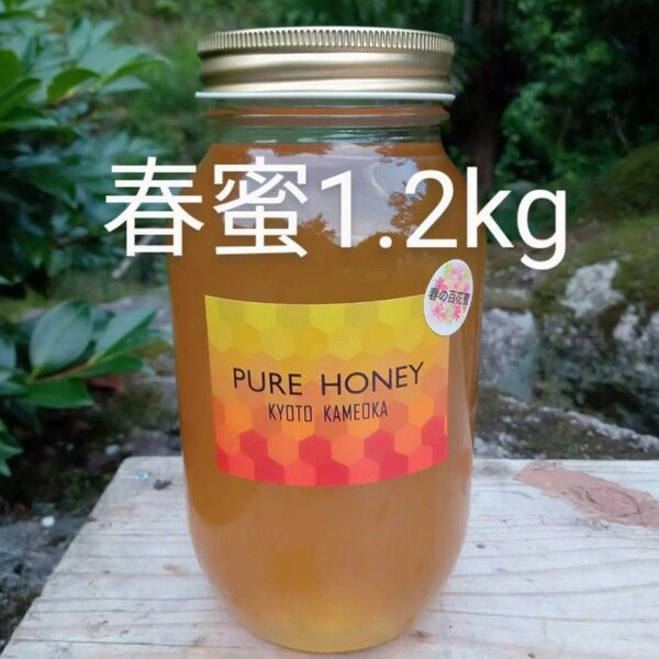 国産 純粋 蜂蜜 はちみつ 1.2kg 春蜜
