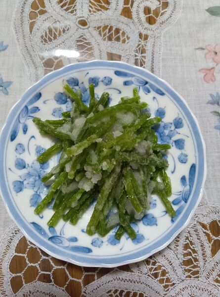 山形産 山菜 赤ミズ ミズ 塩漬け 500g 塩蔵品