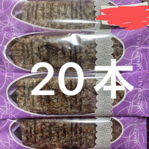 ショコラリーフ ロイスダール 合計 20本 アウトレット品