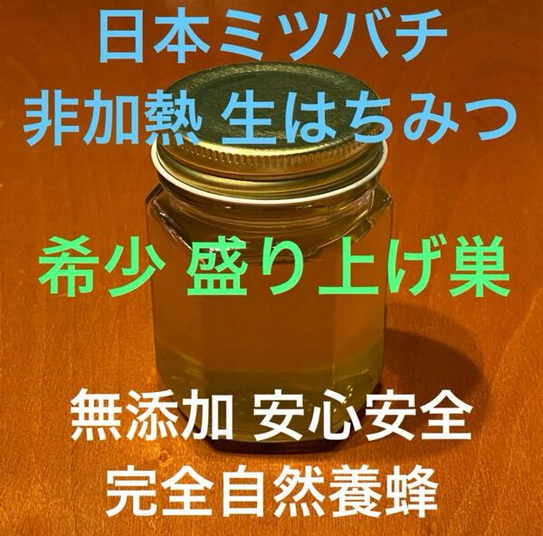 幻の盛り上げ巣 キラキラはちみつ 限定出品 抗生物質無し 無添加 非加熱 夜はちみつ はちみつ療法 肉球クリーム付き