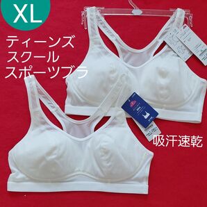 ティーンズ レディース ジュニア メッシュ 吸汗速乾 スポーツブラ デイリーブラ 2枚セット XL