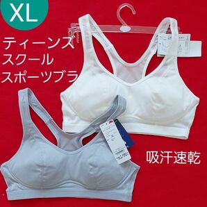 ティーンズ メッシュ スクールスポーツブラ デイリーブラ グレー ホワイト 2枚セット XL