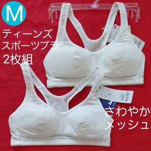 ティーンズ ジュニア 婦人 さわやかメッシュ スクール スポーツブラ 2枚組 M