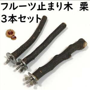 フルーツ止まり木 栗 3本セット インコ・小鳥用