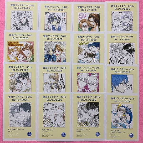 書泉ブックタワー30th BLフェア2025 特典ペーパー16枚 まとめ売り