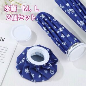 氷嚢 ひょうのう アイシング スプレー ミスト クールダウン スポーツ 熱中症