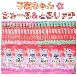 子猫 ちゅーる &とろリッチ キャットフード 猫おやつ 子ねこ とろリッチ 三ツ星グルメ 銀のスプーン いなば ちゅーる