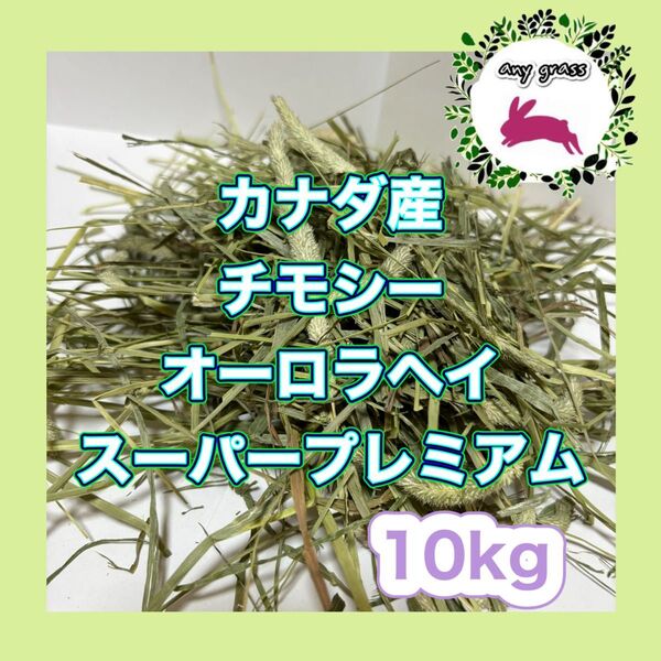 カナダ産チモシーオーロラヘイスーパープレミアム 10kg 圧縮 無選別