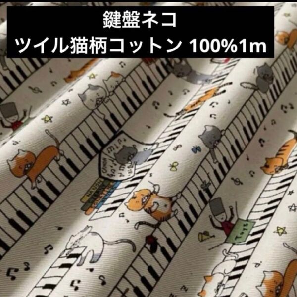 鍵盤ネコツイル猫柄コットン 100%1m