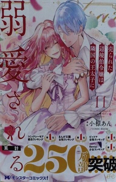 売られた辺境伯令嬢は隣国の王太子に溺愛される 11 (モンスターコミックスf) 小椋あん/漫画 COMIC ROOM/漫画
