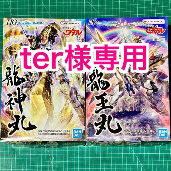 【未組立】HG Amplified IMGN 龍神丸 & 龍王丸『魔神英雄伝ワタル』2点まとめ