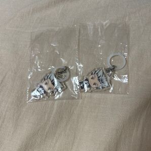 ハイキュー ふらっとめじるしアクセサリー 木兎光太郎 2個セット