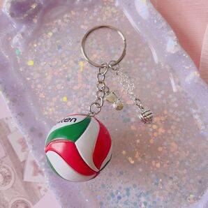 *.゜バレーボールなキーホルダー*.゜スポーツ