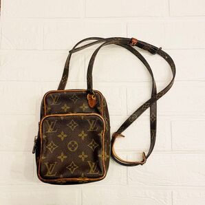 廃盤品 ルイヴィトン ミニアマゾン 2個持ち LV ショルダーバッグ