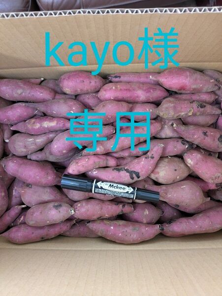 茨城県産紅はるか ミニミニサイズ