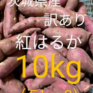 茨城県産さつま芋訳あり紅はるか