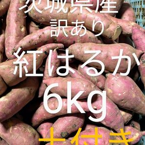 茨城県産さつま芋 訳あり紅はるか