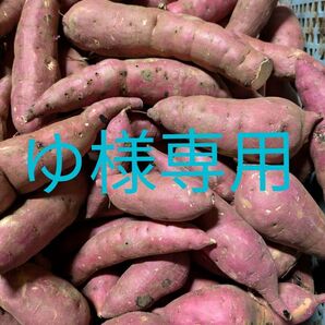 茨城県産さつま芋 訳あり紅はるか