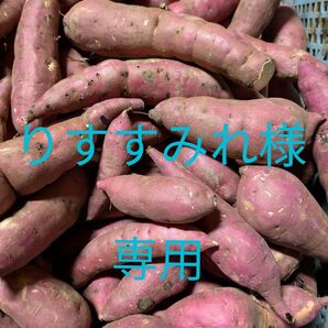 茨城県産さつま芋 訳あり紅はるか