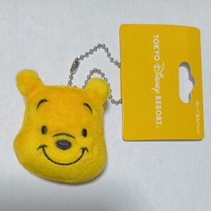 くまのプーさん ぬいぐるみバッチ 東京ディズニーリゾート