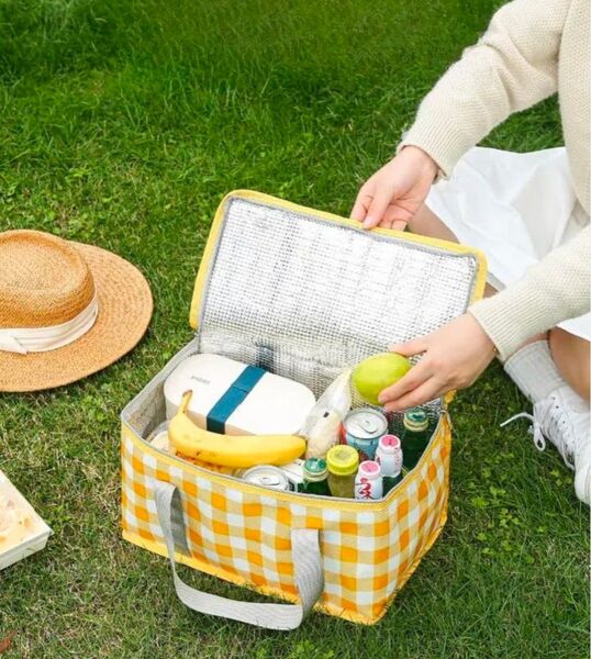 保冷 折りたたみ 保冷バック エコバッグ レジカゴバック ピクニック 保冷保温 チェック