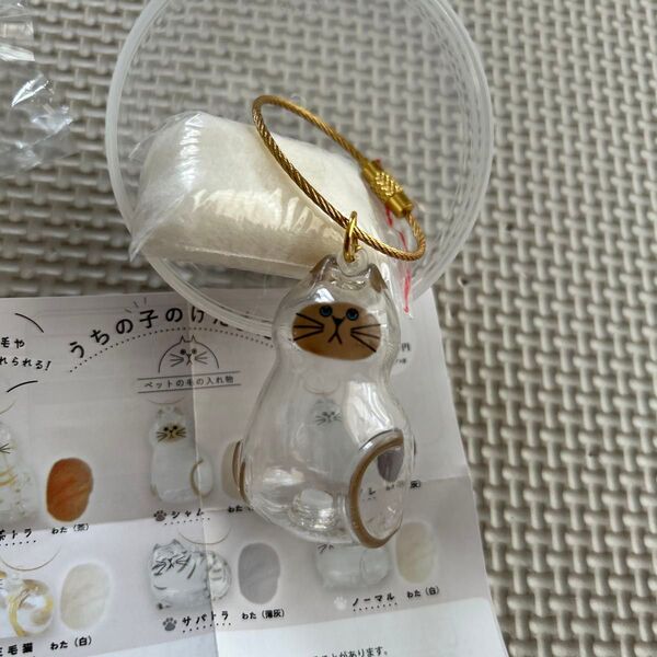 うちの子けだまだま シャム 正規品