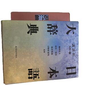 日本語大辞典 カラー版 講談社