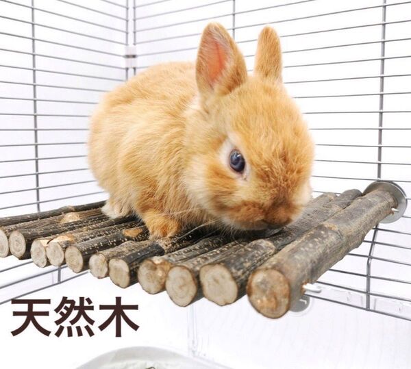 小動物 ステージ ステップ 止まり木 天然木 遊び場 ラット ハムスター