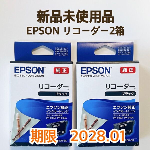 【2本】EPSON (エプソン) 純正 インクカートリッジ リコーダー RDH-BK ブラック PX-048A PX-049A