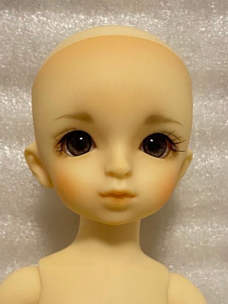 スーパードルフィー 幼SD 男の子 パフ ボークス