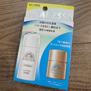 アネッサ SHISEIDO 資生堂 デイセラムN 日焼け止め