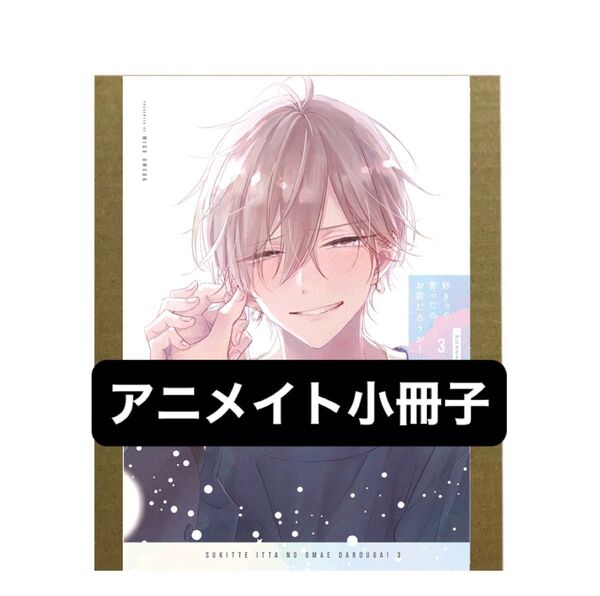 好きって言ったのお前だろうが!(3) アニメイト限定有償特典12P小冊子