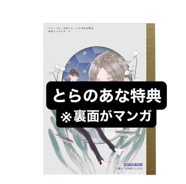 ハローハロー宮前くん とらのあな限定特典 描き下ろし入り両面イラストカード
