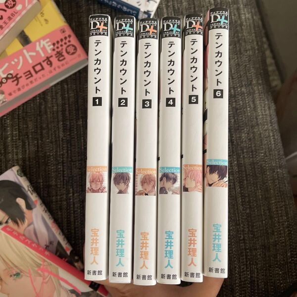 テンカウント バラ売り不可 BL