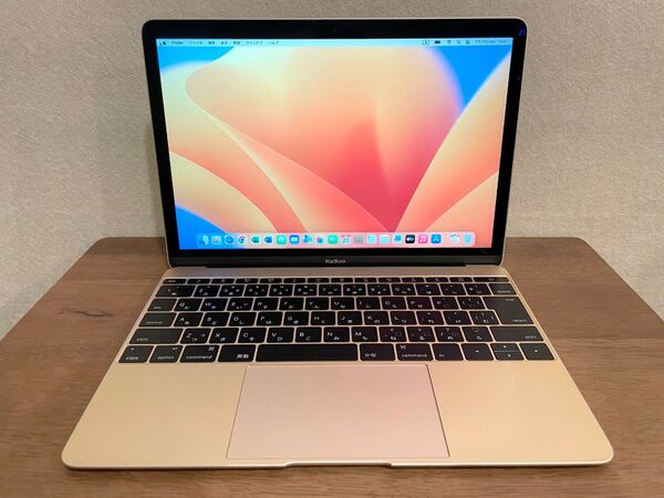 MacBook12 2015 CoreM 8GB 251GB 美品です!
