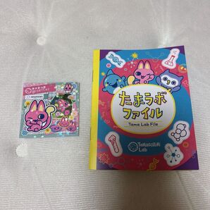 【たまごっちパラダイス 早期購入特典】たまラボファイル たまラボステッカー(みゃおっち)