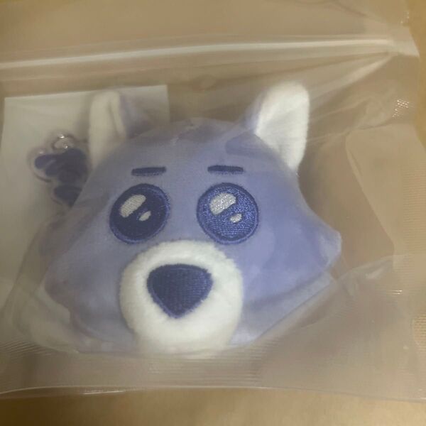 BOYNEXTDOOR ボネクド NOGENRE face keyring MYNGMYNG ジェヒョン popup