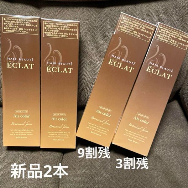 ヘアボーテ エクラ ボタニカル エアカラー ダークブラウン 4本セット エアカラーフォーム 白髪用 白髪染め フューチャーラボ