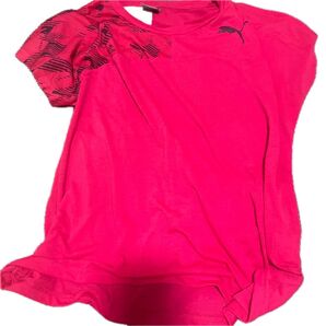 PUMA トレーニングウェア ピンク/黒 レディース Lサイズ