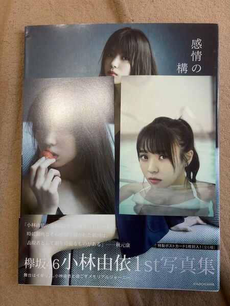 欅坂46 小林由依1st写真集 感情の構図 ポストカード付き